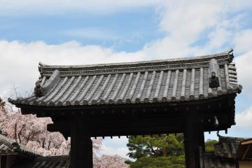 醍醐寺(1)