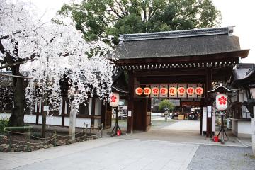 平野神社(1)