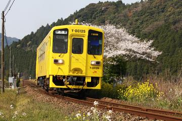 駒鳴駅・桜の頃(4)