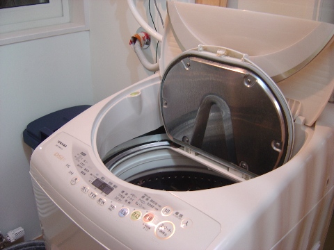洗濯機にゃ(2008.11.14)