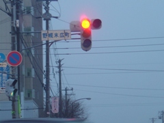 縦信号その６(2009.03.30)