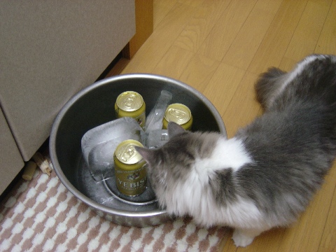 フレイとビール01(2009.07.26)