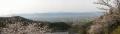 切幡寺からの吉野平野の眺望