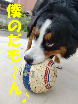 僕のボールで遊ばせてあげようか～！？