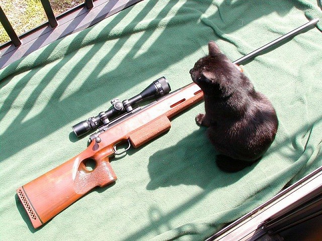 firearms-cat07[1]