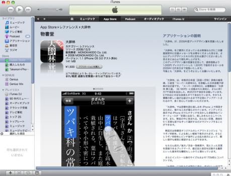 iTunes Store 大辞林