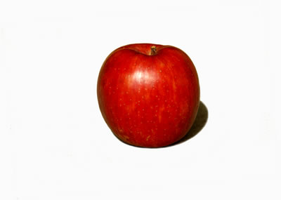 ホームページ素材 写真素材 赤い果実 りんごのフリー素材
