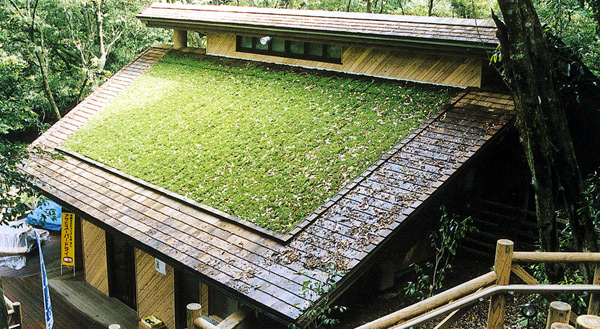 「屋根・壁面の緑化」の画像検索結果