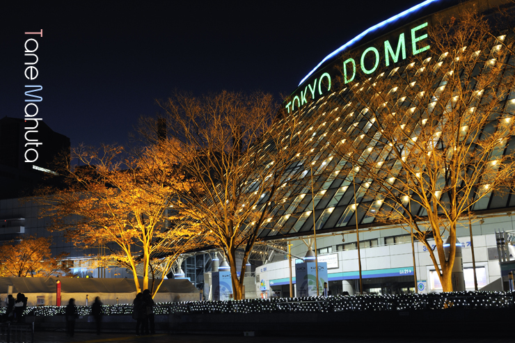 Tokyo_Dome_1.jpg