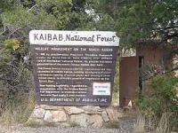 Kaibab sign