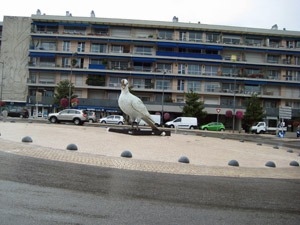 18-pigeon2.jpg