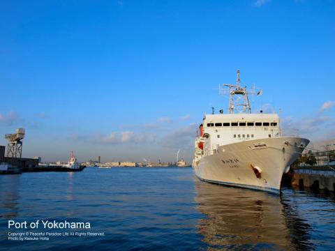 赤レンガパークの横にある横浜海上保安庁の船