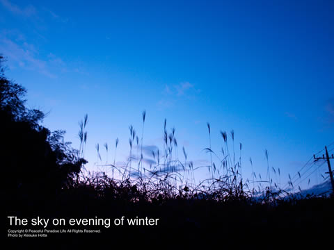 冬の夕方の空